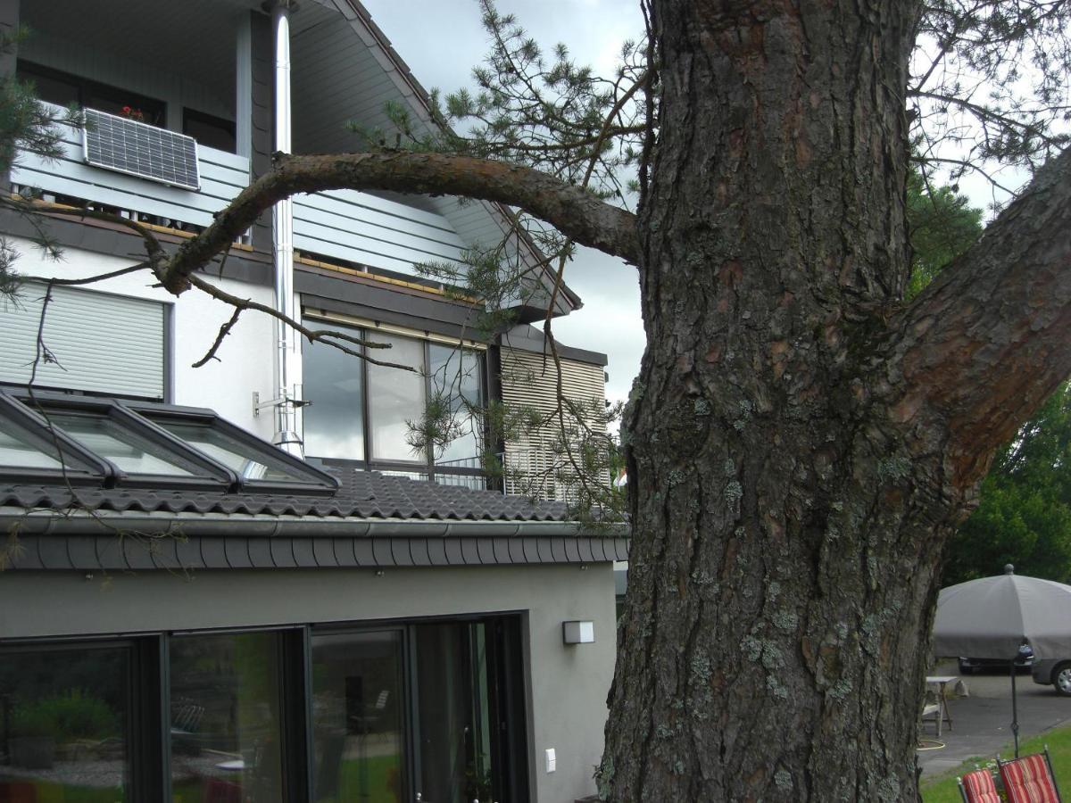 Ferienwohnung Alter Weinberg Saarburg Exterior photo